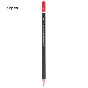 12 Drawing Sketch Set Charcoal Pencil Art Craft Painting Sketching HB 2B 3H 3B