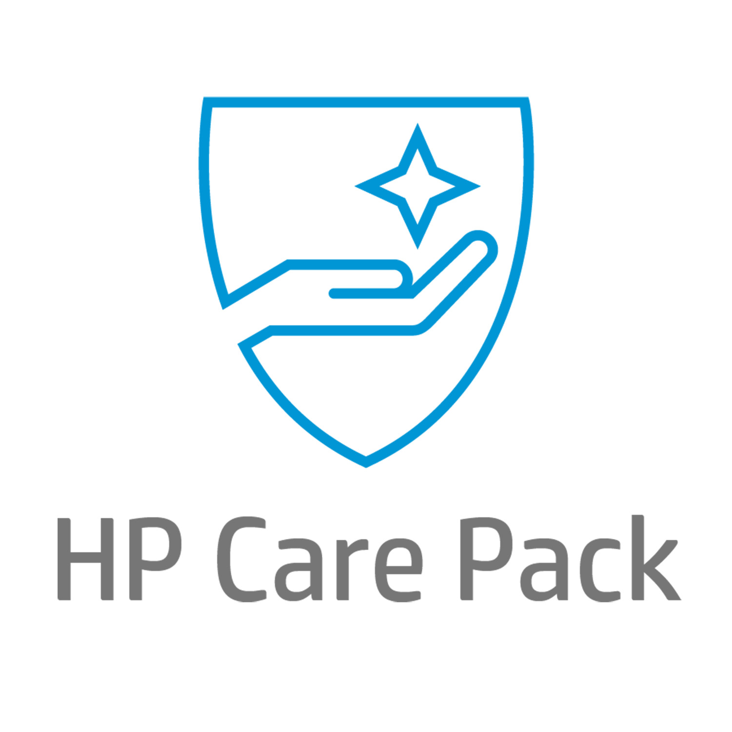 Аппаратная поддержка HP Care Pack на следующий рабочий день U8CT6PE 47190₽