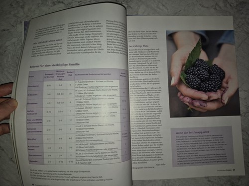 Kraut & Rüben 11/2010 Herbstkränze Kürbis Marienkäfer Käsespatzen Ziegen Beeren - Bild 13 von 24