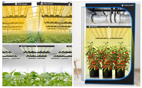 800W Lámpara LED Espectro Completo Luz Planta para Tomate/Hierbas, Cubierta 2x2m - Imagen 12 de 12