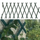 Adjustable Plastic Trellis for Climbing Plants Enhance Your Outdoor Aesthetics