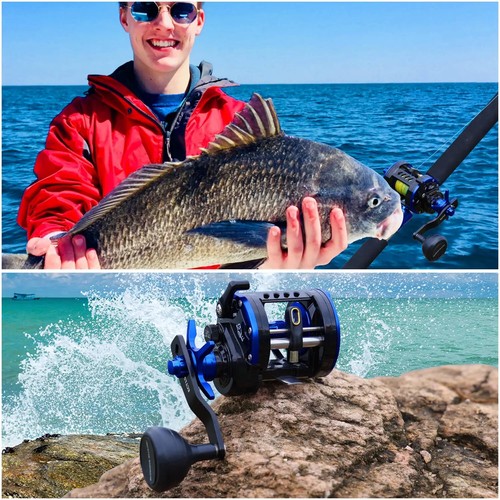 New Trolling Reel Level Wind Graphite Body Fishing Reel Durable Stainless-Steel - Picture 13 of 22