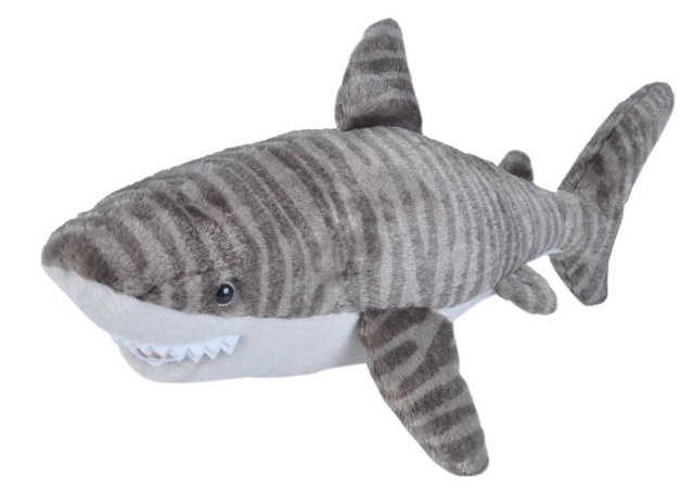 shark teddy