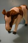 Foto 2 di 6