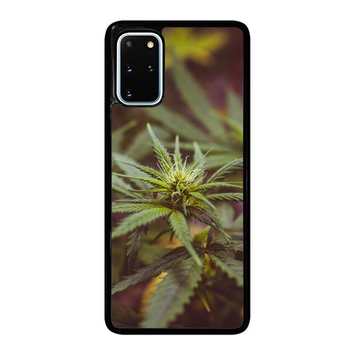 marijuana Weed leaves For Samsung S21 S22 S23 S24 Ultra FE Anti scratch Cover - 第 2/25 張圖片