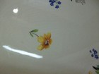 Foto 12 di 12