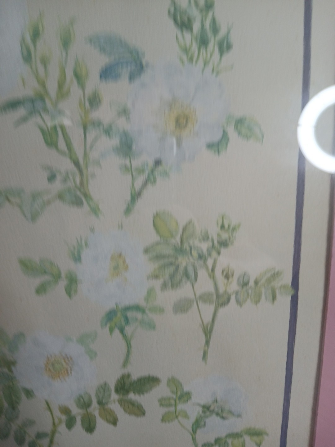 Picture 3 of 12