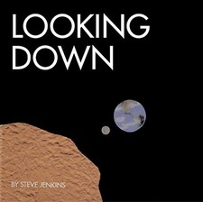 Looking Down, Jenkins, Steve