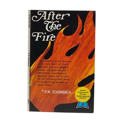 1981 R. W. SCHAMBACH. After the Fire VINTAGE PB VG