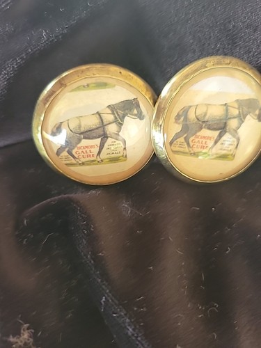 Trense Rosette's Bickmore Gall Salve Geschirr Pferd Adv 2 in Messing und Glas - Bild 5 von 7