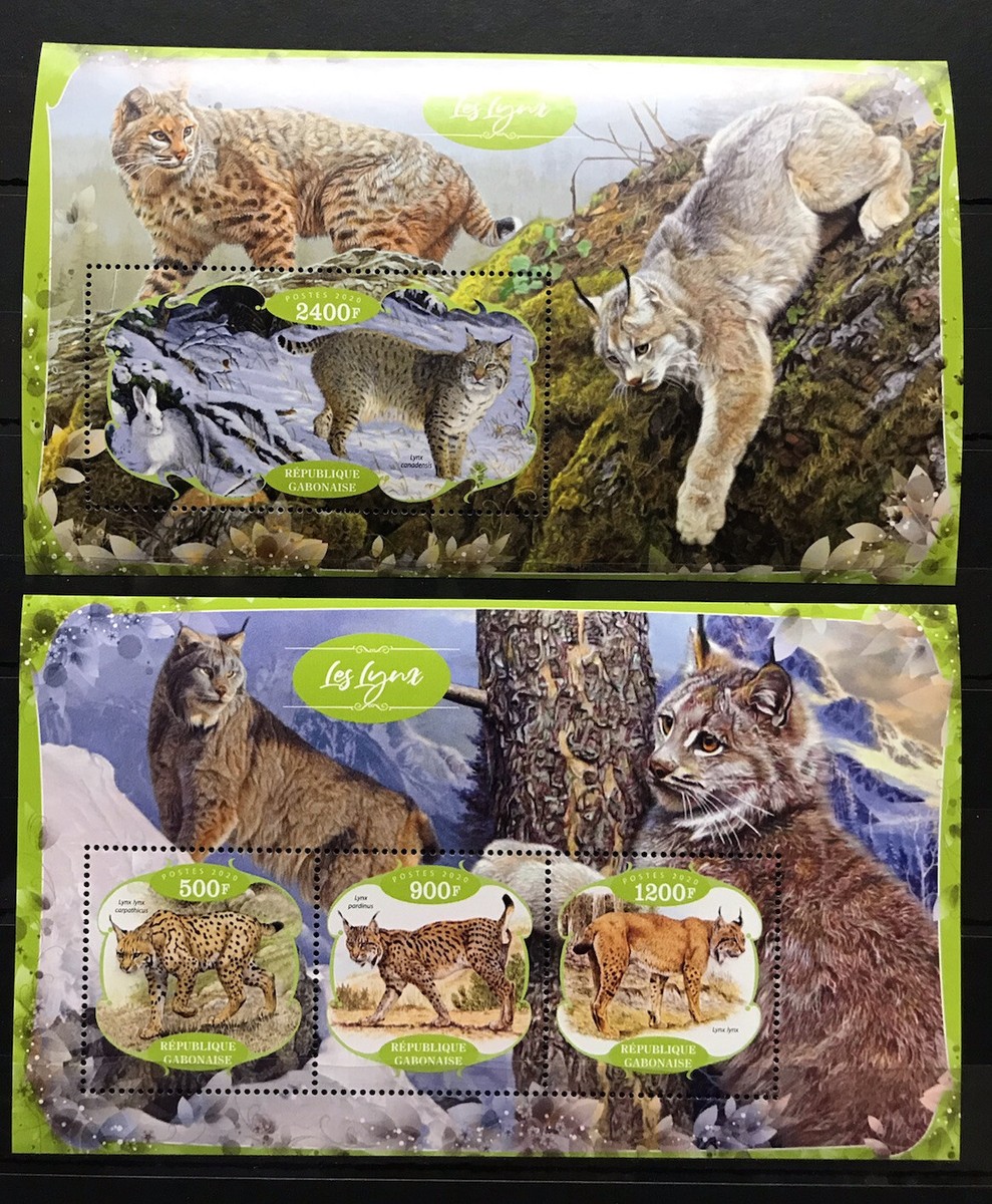 Lynx / Les Lynks / Lince / Rys / Wild Cats / Cats Sausages / Gatti