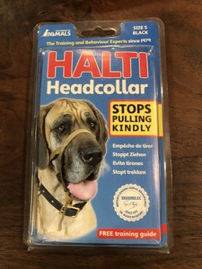 company of animals halti harness