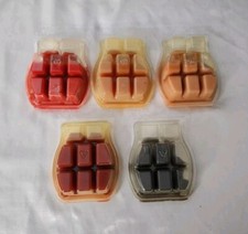 Scentsy Wax Bar Lot Of 5 DAMAGED Were Left In Garage Some Retired