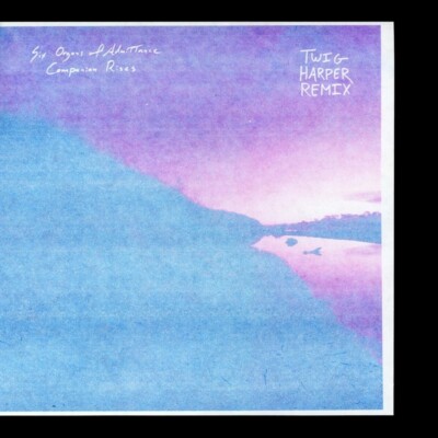 SIX ORGANS OF ADMITTANCE - COMPANION RISES (TWIG HARPER REMIX)   VINYL LP NEU
