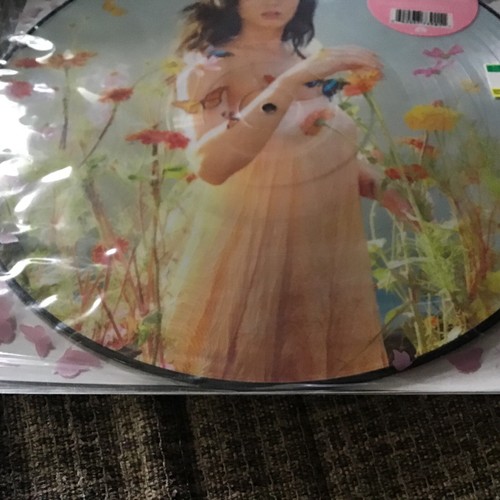 KATY PERRY PRISM 2014 RSD LIMITED EDITION PICTURE DISCS OOP BRAND NEW!!! - Picture 7 of 8