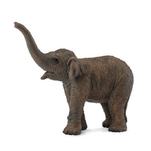 Collecta Baird/'s tapir Pantorrilla
