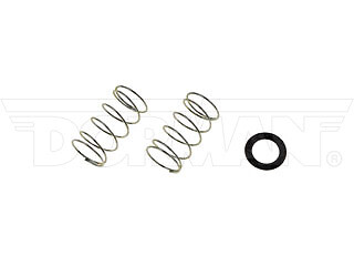 Fuel Filter Spring Dorman/Help 55144