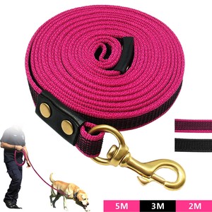 dog tracking leash