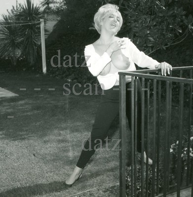 1960s Photo-busty nude pinup girl Mary Lou Germain-cheesecake t802306