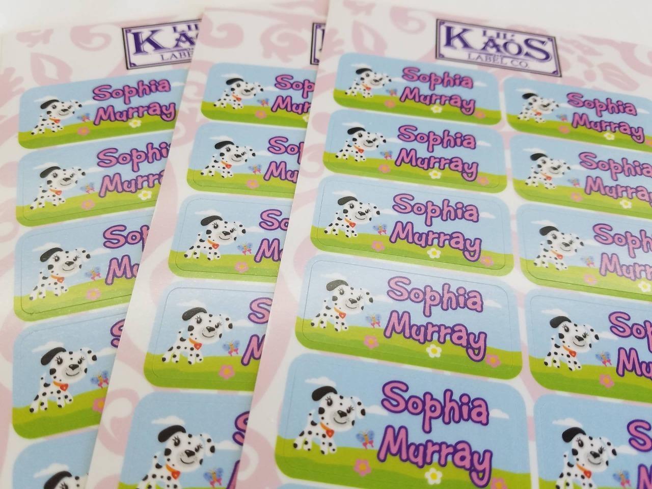 Imagen 3 de 3