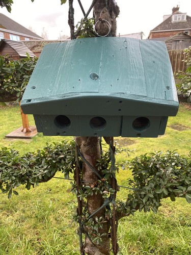 bird House - Picture 9 of 9