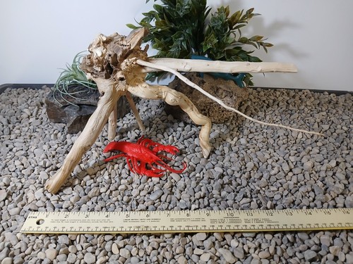 Driftwood aquarium fish 7 reptiles 9x15" natural spiderwood root decor - Picture 5 of 9