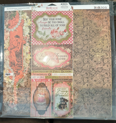 Bo Bunny Homemade 12x12 Scrapbook Kit-Variations Available-U Choose Read Dscrptn - Picture 24 of 59