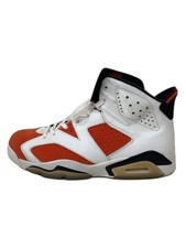 Men 10.5US Nike Air Jordan6 Retro/High-Cut Sneakers/Wht/Leather/384664-145//
