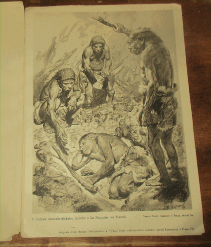 GEOLOGY ARCHEOLOGY 1951 CLASSIC ART WORK & REPORT By Augusta NEANDERTHAL MAN - Picture 4 of 4