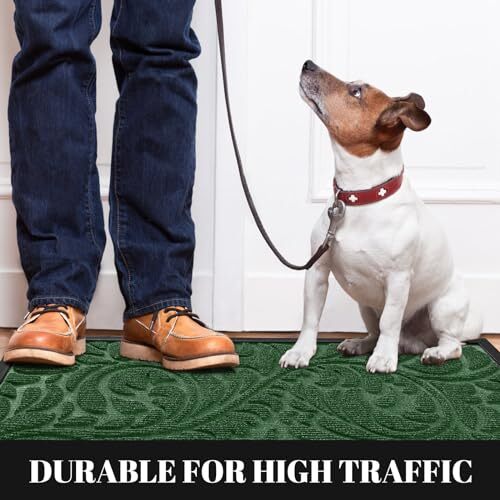 Front Door Mat Outdoor Indoor Welcome Mat for Home Entrance Doormat for  - Picture 4 of 6