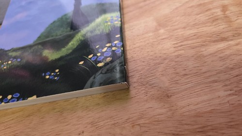 Kingdom Hearts X Chi Your KeyBlade Your Story The Light Novel Englisch Buch Yen - Bild 15 von 17