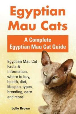 Egyptian Mau Cats: Egyptian Mau Cat Facts & Information, where to buy, heal...