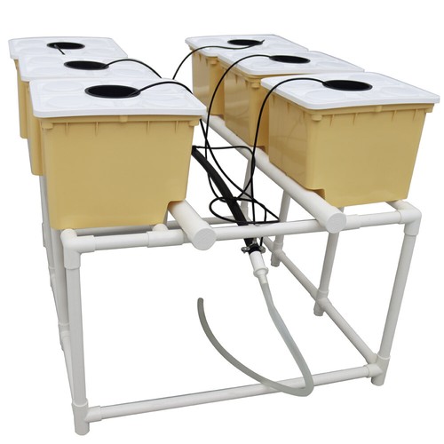 6 Site Hydroponic Growing Kit Dutch Bato Bucket Strawberry Tomato Plant System - Picture 2 of 12