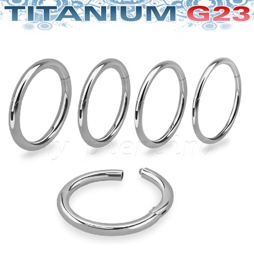 PAIR G23 Titanium Hinged Segment Ring Clicker Helix Lip Nose Septum Ring 20g-14g - Picture 1 of 7