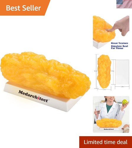 Authentique réplique de graisse corporelle humaine - 5 lb, garder la forme et perte de poids motivation et...