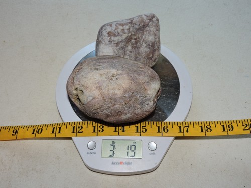 Set mit natürlich polierten roten Achat Jaspis Steinen. 3 lbs+ gesamt. PNW Fundstücke! - Bild 17 von 24
