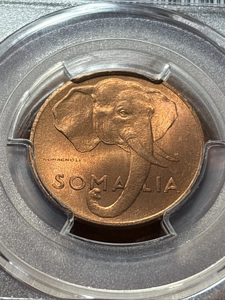 AH1369 (1950) Somalia Elephant 5 Centesimi - PCGS MS65 RD - Image 4 of 4