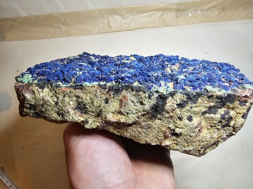 Big Plate Of Azurite Rosettes On Matrix From Southwestern US Copper Mine - Picture 10 of 12