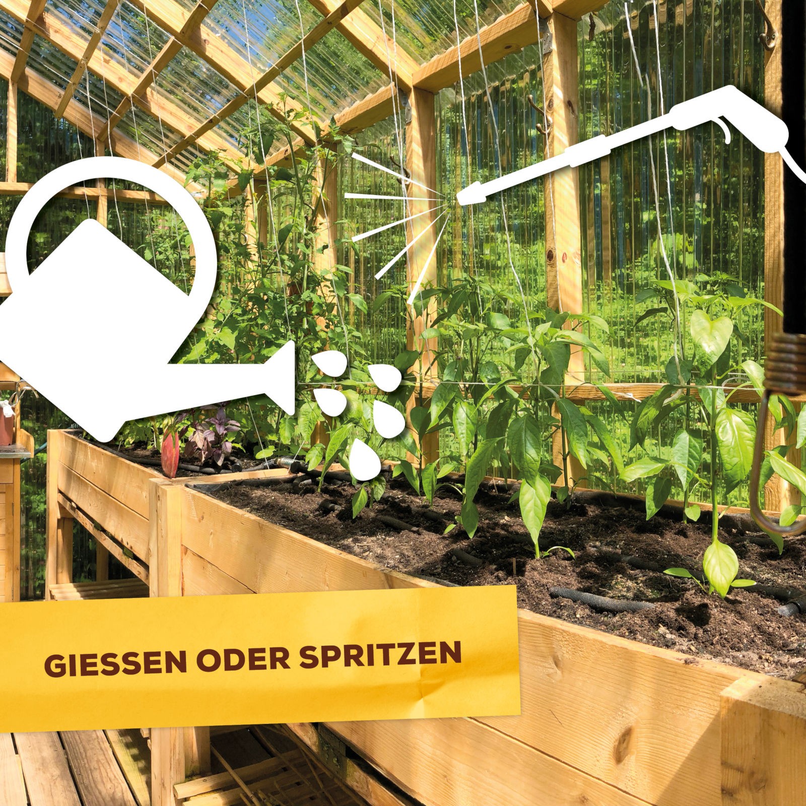 Bild 7 von 9