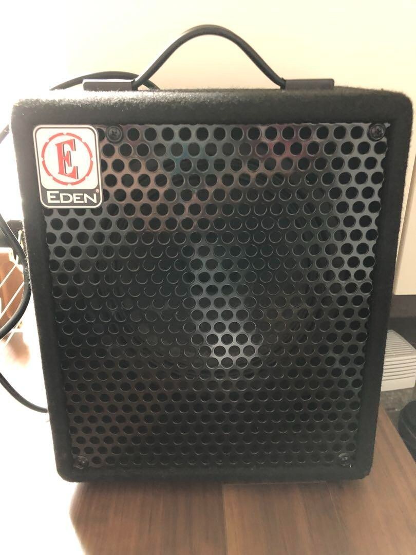 Eden EC8 Bassverstärker