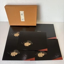 Echizen Lacquerware Serving Plate Sweets Traditional Craft Tea Utensils UNUSED