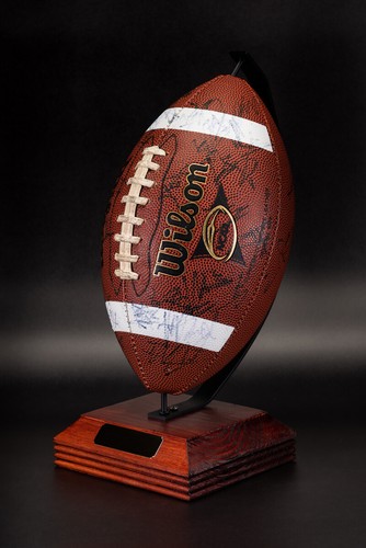 AFL / NRL / GRIDIRON FOOTBALL / DISPLAY TROPHY STAND FOR YOUR OFFICE OR HOME - Foto 12 di 12