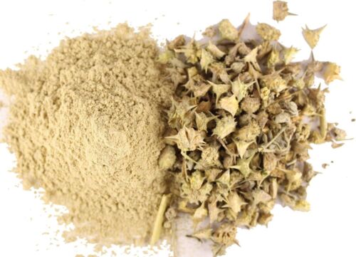 Gokshura Gokhru Tribulus terrestris Small Caltrops Land Caltrops Hasak POWDER** - Picture 2 of 2