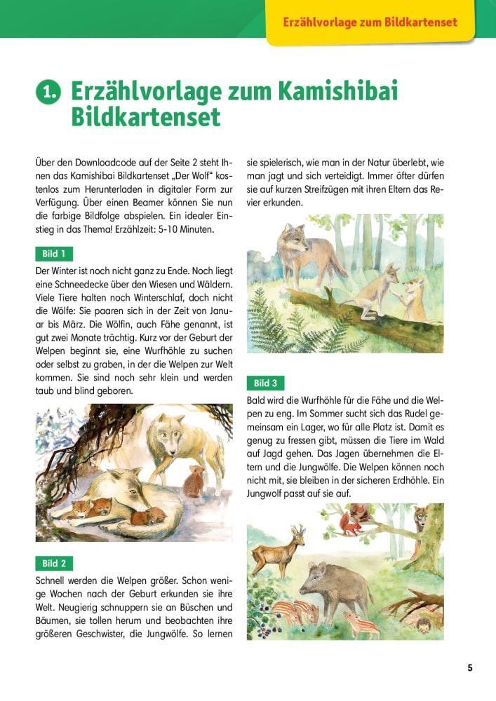 Thumbnail - Arbeitsmaterial Grundschule. Sachunterricht. Der Wolf. | Katharina