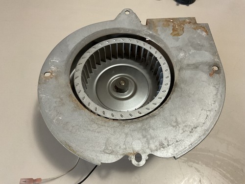 GODMAN JANITROL AMAMA 0131M00002P VENT DRAFT INDUCER MOTOR Y3L248B01 - Picture 5 of 5