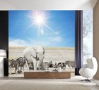3D Elephant Zebra R14828 Wallpaper Wall Mural Self-adhesive Removable Luna