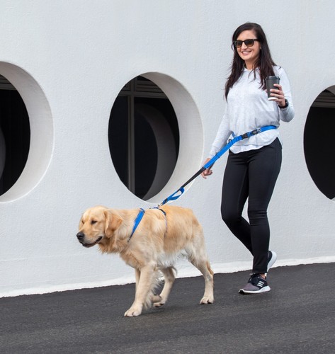 Correa manos libres Rogz para perro - ¡Mantén tus manos libres, disfruta de tus paseos! - Imagen 10 de 31