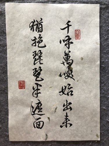 Unframed handwritten Chinese calligraphy 14 Word On Tea Leave Rice Paper 2516 - Picture 7 of 8