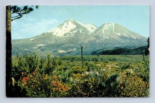 Postal de Mount Shasta California -339 sin publicar - Imagen 1 de 2