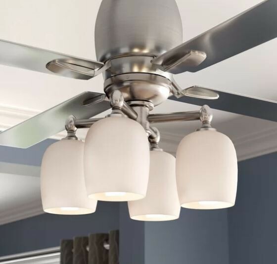 Darby Home Co 4 Light Branched Ceiling Fan Branched Light Kit Brushed Pewter